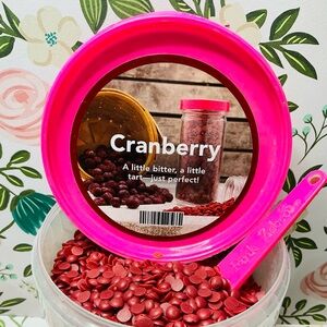 Pink Zebra Sprinkles Wax Melts ✨Cranberry✨